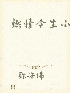 燃情今生小说