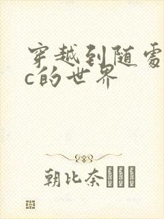 穿越到随处可以c的世界