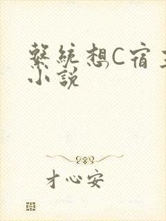 系统想C宿主的小说