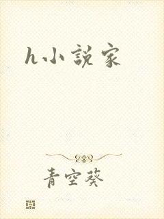 h小说家