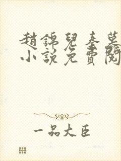 赵锦儿秦慕修的小说免费阅读全文