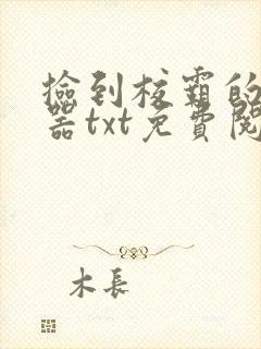 捡到校霸的遥控器txt免费阅读by阳阳