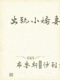 出轨小娇妻