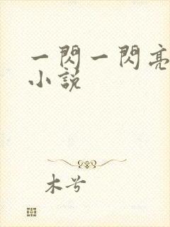 一闪一闪亮星星小说