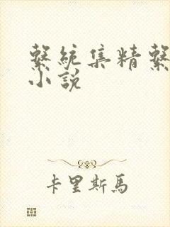 系统集精系统 小说