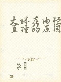 大蟒在内径横冲直撞的原因