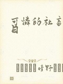 可怜的社畜东度日