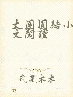大团圆结小茹全文阅读