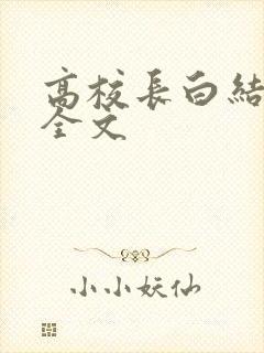 高校长白结小说全文