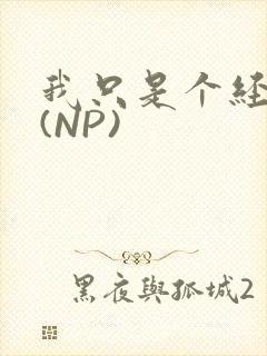 我只是个经纪人(NP)