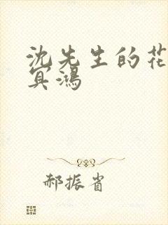 沈先生的花式调冥鸿