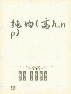纯肉(高h.np)