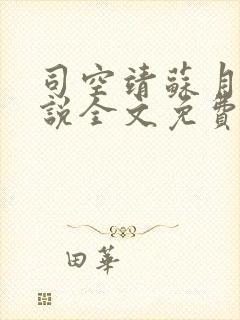 司空靖苏月汐小说全文免费阅读