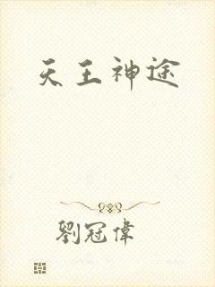 天王神途