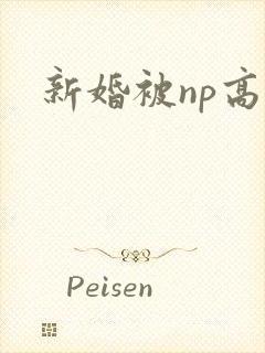 新婚被np高h