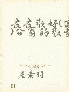 夜夜欢好(高h)公翁的欢爱h