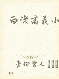 白洁高义小说