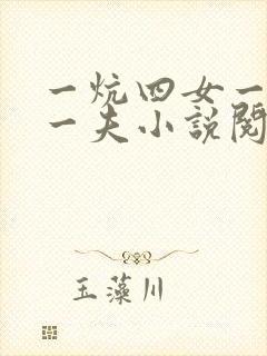 一炕四女一共侍一夫小说阅读