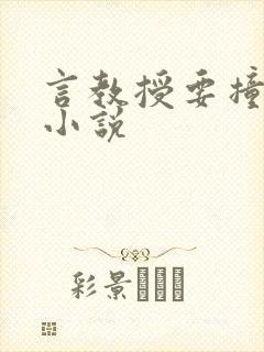 言教授要撞坏了小说