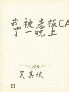 我被老板CAO了一晚上