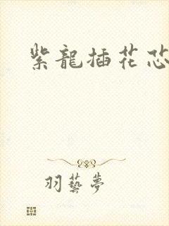 紫龙插花芯方正