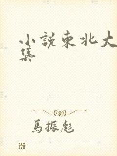 小说东北大炕全集