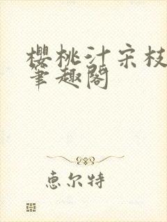 樱桃汁宋枝江野笔趣阁