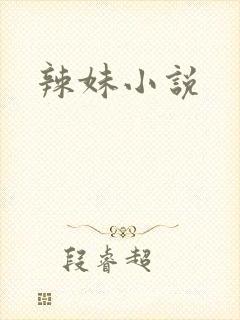 辣妹小说