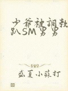 少爷被调教室跪趴SM男男