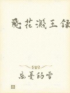 飞花溅玉录