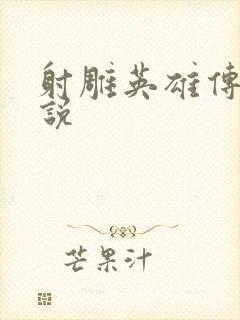 射雕英雄传 小说