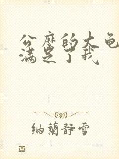 公么的大龟强大满足了我