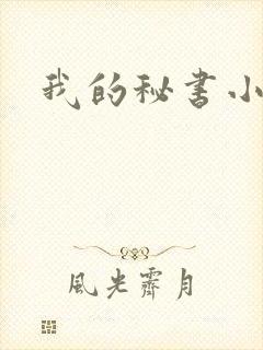 我的秘书小姐