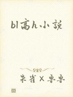bl高h小说