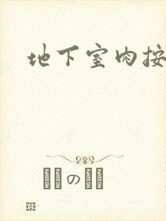 地下室肉按摩椅