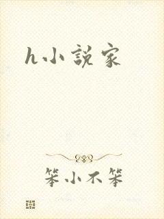 h小说家