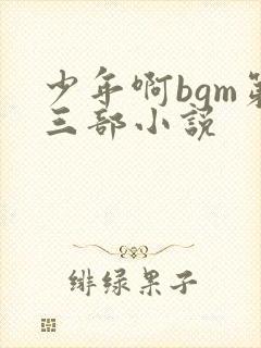 少年啊bgm第三部小说