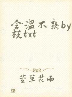 含温不熟by词枝txt