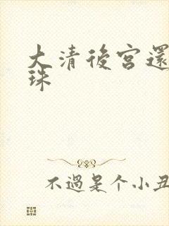 大清后宫还君明珠