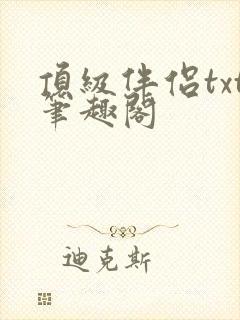 顶级伴侣txt笔趣阁