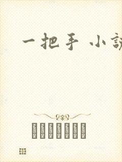 一把手 小说