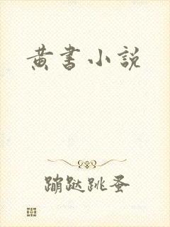 黄书小说