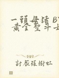 一头母猪 BY 黄金圣斗士