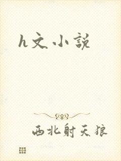 h文小说