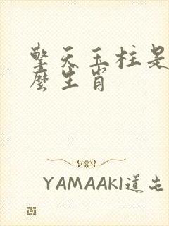 擎天玉柱是指什么生肖