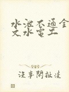 水泄不通金银原文水电工