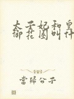 太子妃和皇帝在御花园叫什么小说