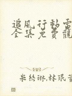 追风行动电视剧全集免费观看