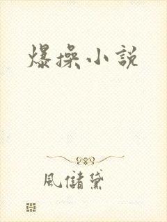 爆操小说
