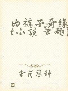 内裤子奇缘txt小说 笔趣阁